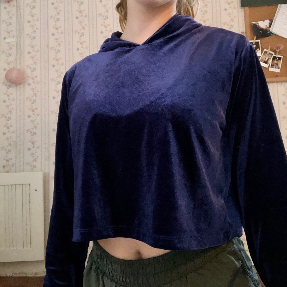 Velour Cropped Hoodie